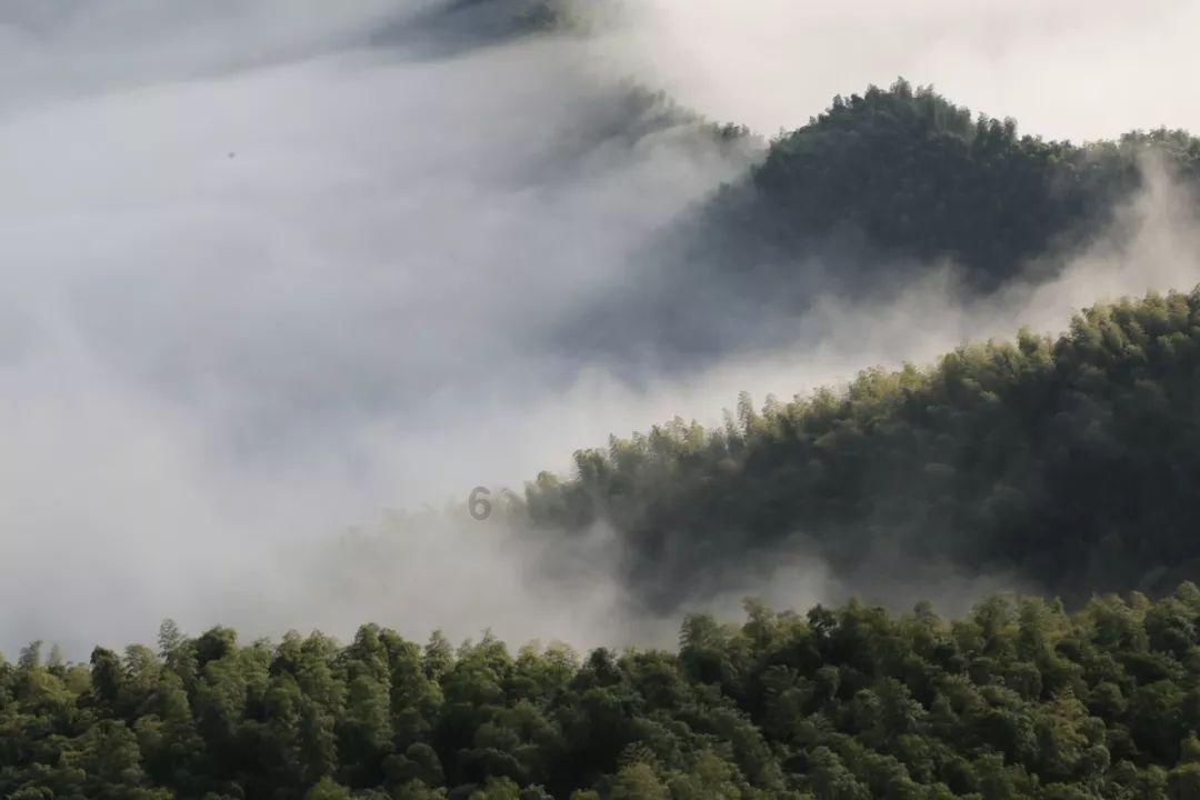 饥饿的哈利